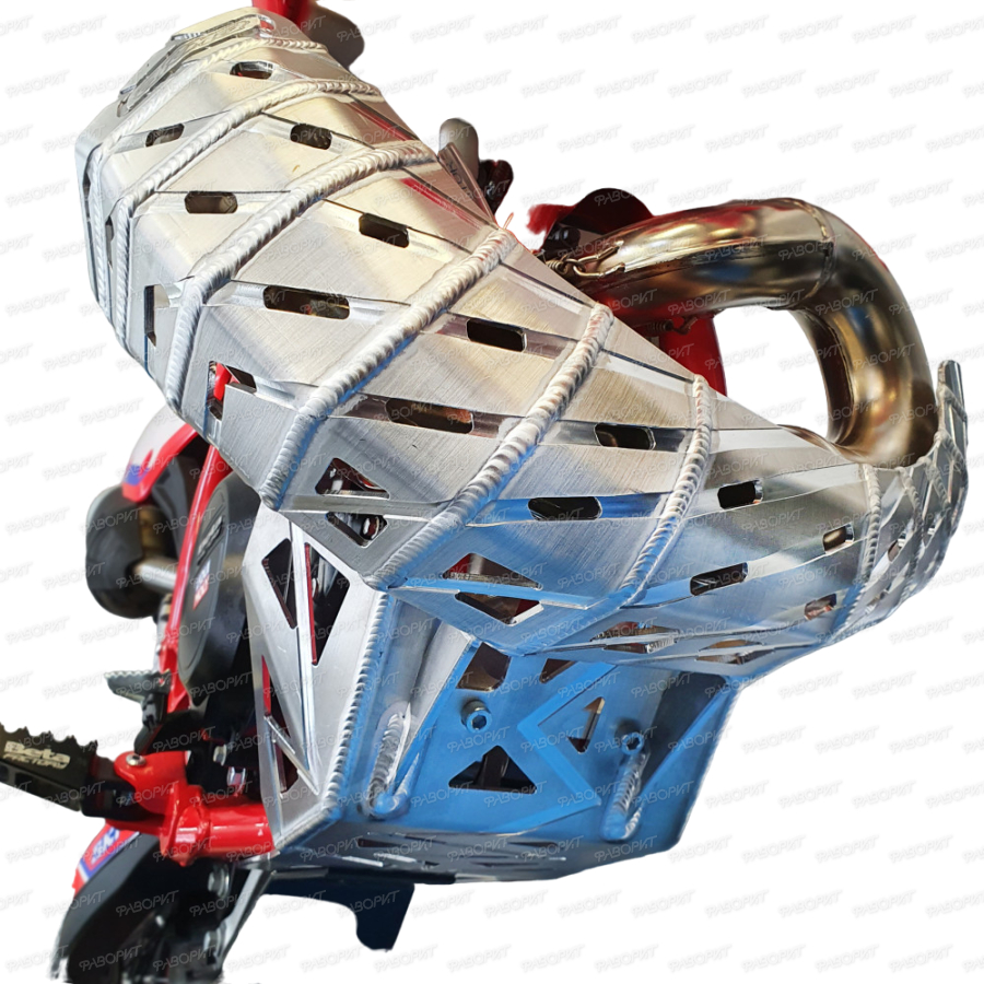 Защита картера и резонатора Beta RR '20-22г.арт.1SPEG01