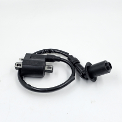 Катушка зажигания со свечным колпачком; 152QMI, 157QMJ, 162QMK; T150