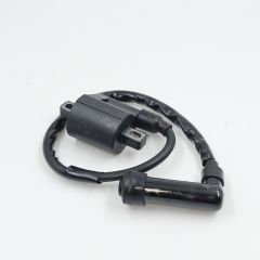 Катушка зажигания 172FMM-3A (CB250-F)