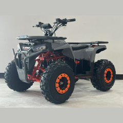 Квадроцикл детский "ФАВОРИТ Q-TREK 125"