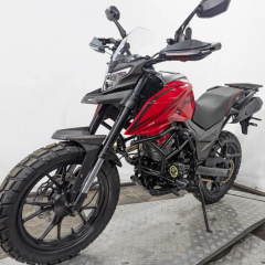 Мотоцикл Regulmoto DUKE 300 PRO (Красный)