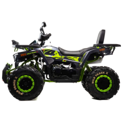 Квадроцикл Motoland Wild Track 200cc X Winch