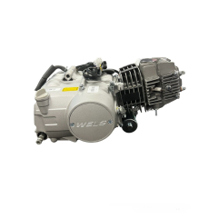 Двигатель 125cc с элетростартером WELS RT