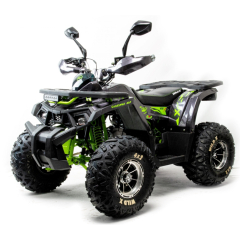 Квадроцикл Motoland Wild X-Pro 125cc