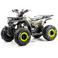 Квадроцикл Motoland Wild 125