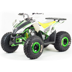 Квадроцикл Motoland Coyote 125