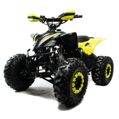 Детский квадроцикл Motoland Raptor 125
